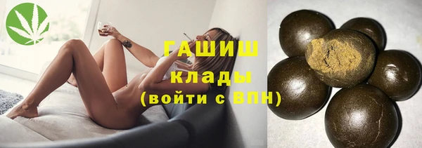 гашик Алексин