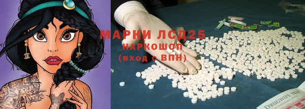 гашик Алексин