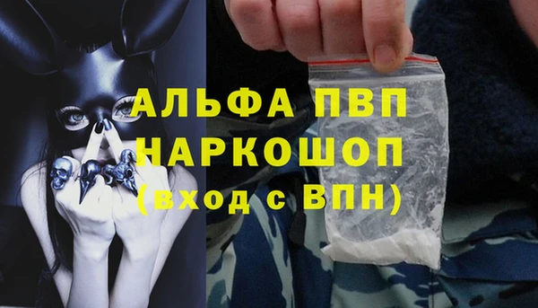 гашик Алексин