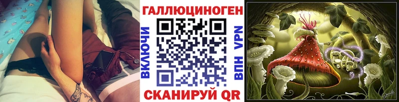 Псилоцибиновые грибы Cubensis Губкин