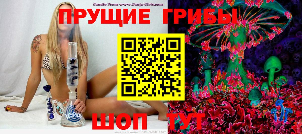 купить наркотики цена  Галлюциногенные грибы Psilocybine cubensis  Вход с VPN  Губкин  Псилоцибиновые грибы мицелий 