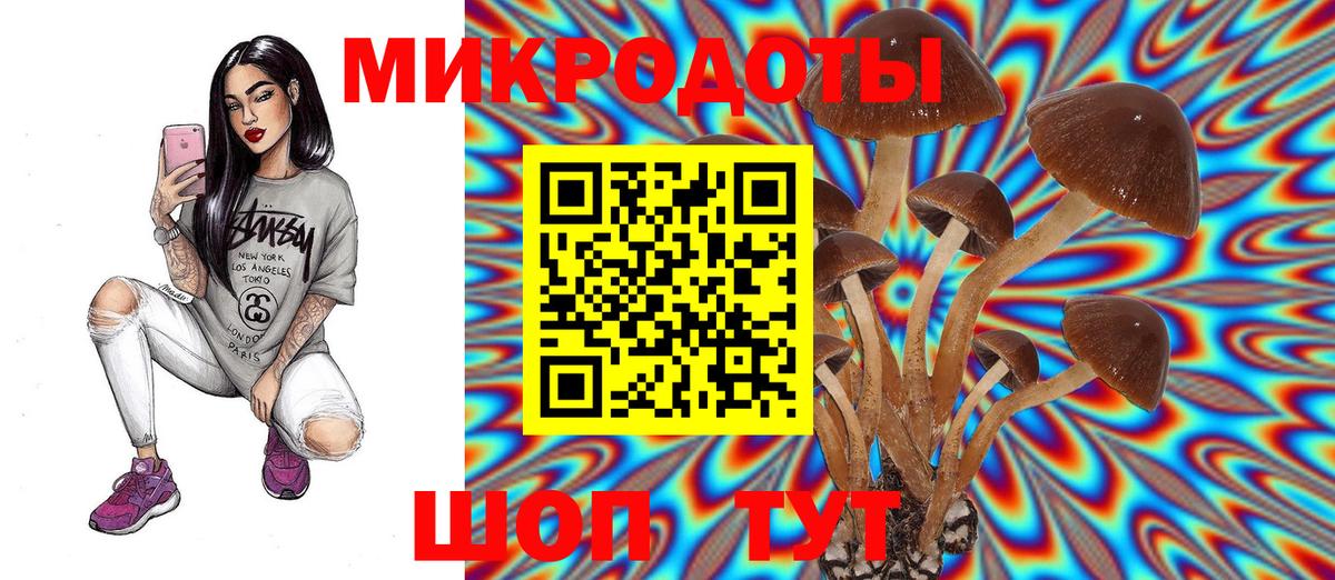 Псилоцибиновые грибы мицелий Губкин